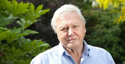 This is David Attenborough, the glorious narrator of various nature ...