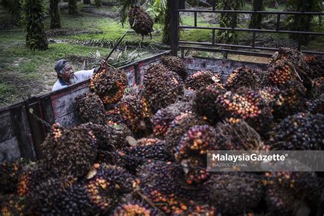 Kemampanan Industri Sawit