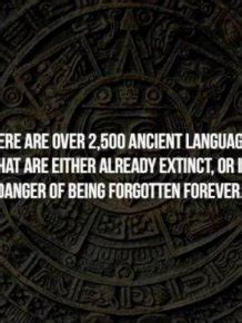 Interesting Facts, part 87 | Others