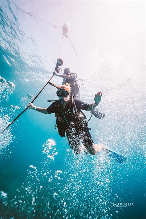 PADI Open Water Course In Playa Del Carmen AWA Scuba