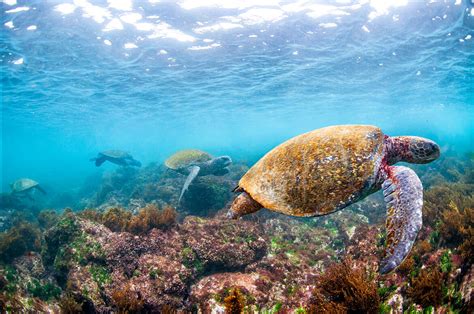 Es Hora De Poner Manos A La Obra Declara Wwf En La Reunión De La