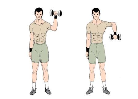 Rotator Cuff Exercises With Dumbbells