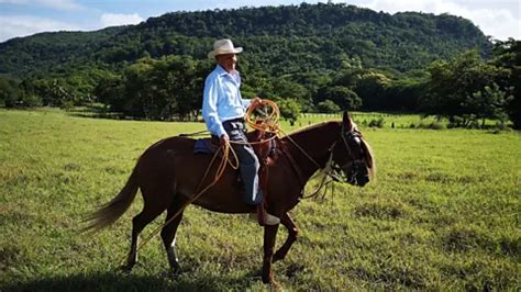 Nicoya The Costa Rican Peninsula Where Centenarians Thrive