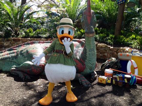 New enhancements to Donald Duck meet and greet at Animal Kingdom ...