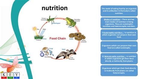 😎 Why Do Living Organisms Need Nutrition Why Do Living Organisms Need