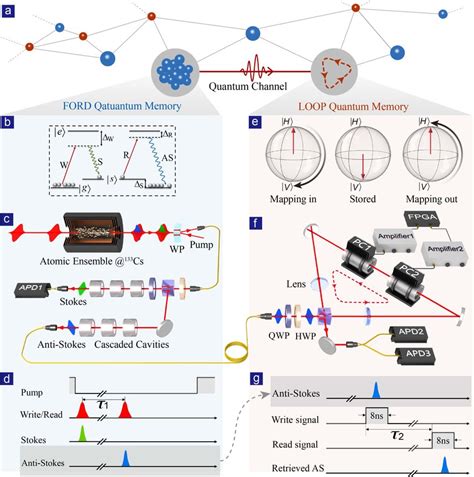 A Schematic Diagram And Experimental Setup Of A Hybrid Quantum Memory