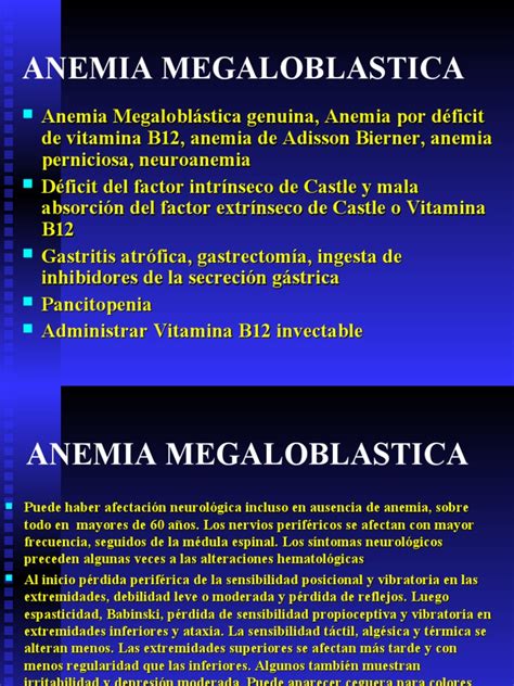 Anemia Megaloblastica Y Hemoliticas Pdf Glóbulo Rojo Vitamina B12