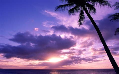 🔥 50 Paradise Island Wallpapers Wallpapersafari