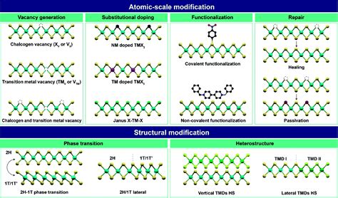 Atomic And Structural Modifications Of Two Dimensional Transition Metal Dichalcogenides For