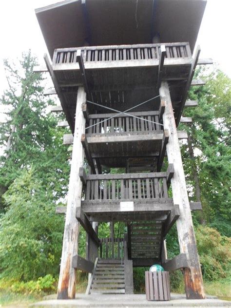 Sehome Hill Arboretum Observation Tower Bellingham Wa Image