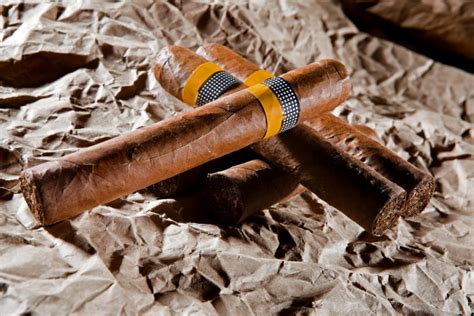 How To Select The Best Cigars For Your Humidor A Guide To The Top Brands