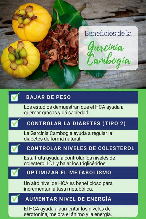 Garcinia Cambogia Beneficios Efectos Secundarios Y Todo Lo Que