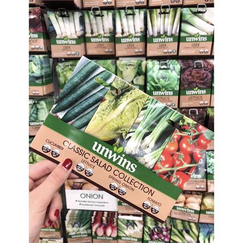 Salad Classic Collection Pack Vegetable Seeds Polhill Garden Centre