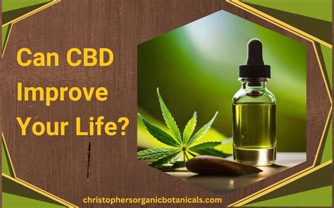 Can Cbd Enhance Your Life Possible Benefits Explored