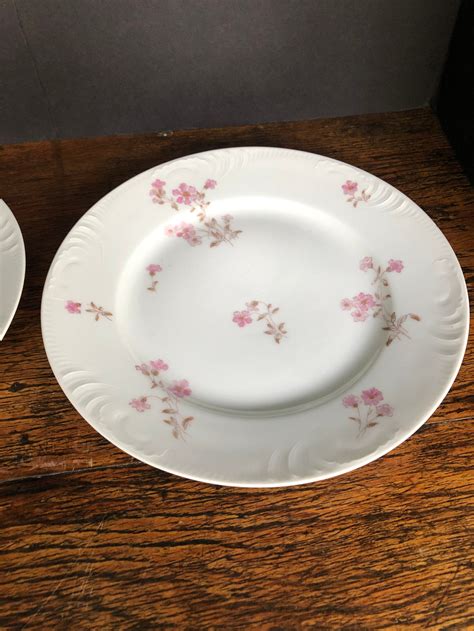 Haviland Limoges China Pink Flower Pattern Antique Etsyde