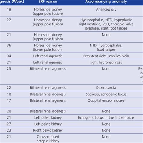 General Characteristics Of Fetuses With Empty Renal Fossa Erf Download Scientific Diagram