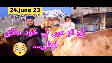 Ismail Goth Mandi Karachi Cattle Rates Update June Cow Mandi