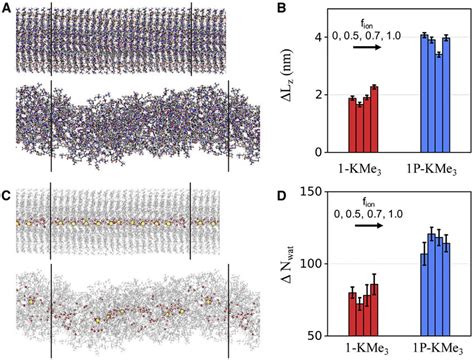 All Atom Molecular Dynamics Simulations A Initial Structure And A