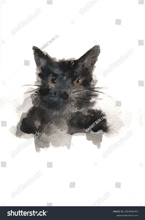 Black Cat Watercolor Painting Cat On Stock Illustration 2261846707 | Shutterstock