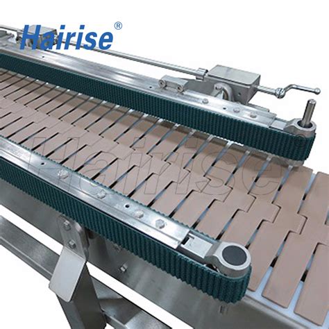 Hairise With Ce Straight Conveyor System For Food Beverage Industry