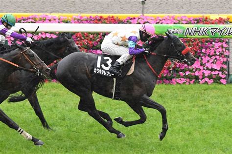 【3歳以上次走報】カワキタレブリーは関屋記念へ向かう｜競馬ニュース｜競馬予想のウマニティ