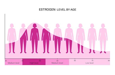 Premium Vector Estrogen Level Color Chart Sex Hormone Production By