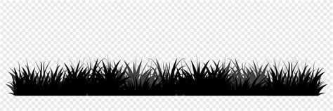 Black Silhouettes Of Grass Floral Background Wild Grass Grass