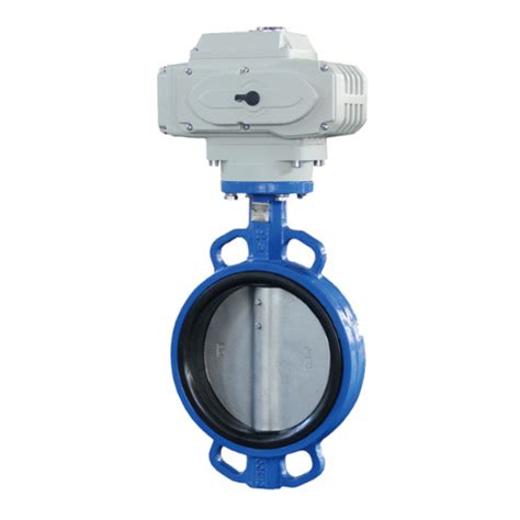 Concentric Cast Iron Bi Directional Wafer Style Butterfly Valves At