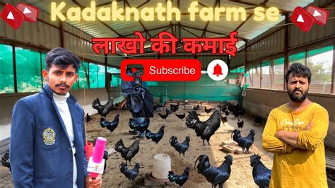 KADAKNATH FARM SE लख क कमई How to start KADAKNATH farming YouTube