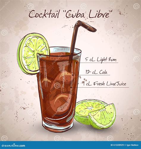 Cocktail Cuba Libre Vector Illustratie Illustration Of Citrusvrucht