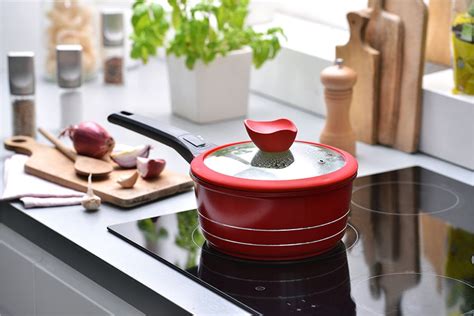 Quelle Casserole Pour L Induction La Cuisson De Vos Plats