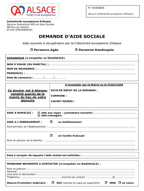 Remplissable En Ligne Demande D Allocation Personnalisee D Autonomie