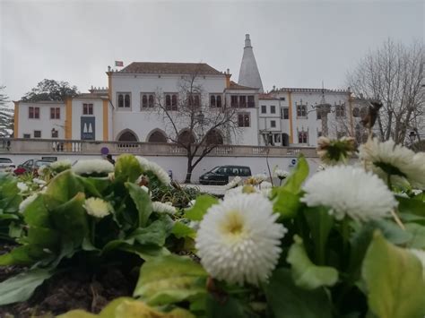 Controlo De Acessos Ao Centro Hist Rico De Sintra Emes