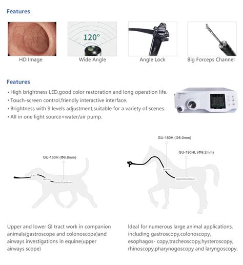 Medical Flexible Endoscope Portable Nasopharyngoscope Fibroscope