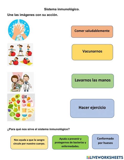 Sistema Inmunol Gico Worksheet For Segundo Grado Estrategias Para