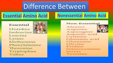 Difference Between Essential Amino Acid And Nonessential Amino Acid