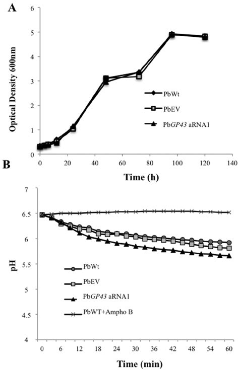 Down Regulation Of Pb Gp43 Does Not Affect Viability Or Vitality Of