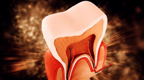 Qué es el esmalte dental y por qué es importante Estudi Dental