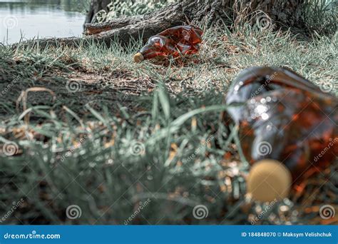 Plastic Flesje Afval Van Afvalstoffen In Bossen En Milieu Vuilnis In