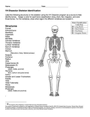 Fillable Online Csu Gk12 Engr Colostate Bone Classification Structures