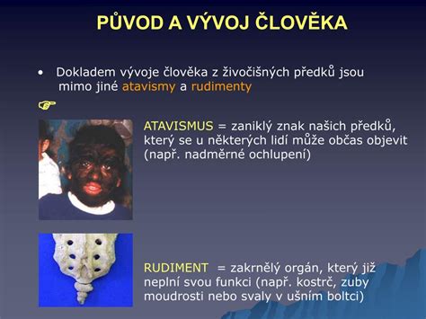 PPT PŮVOD A VÝVOJ ČLOVĚKA PowerPoint Presentation free download ID