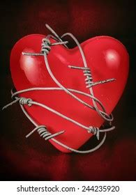 Heart Wrapped Barbed Wire Photos And Images Shutterstock