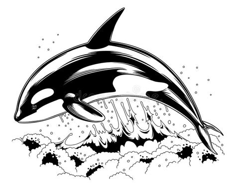Orka ilustracji. Ilustracja złożonej z odosobniony, ilustracje - 4636894