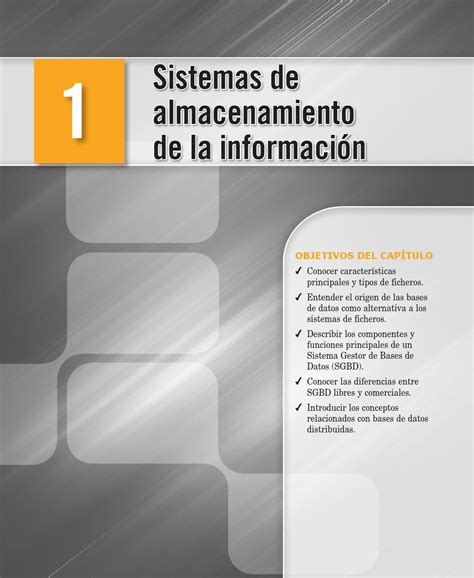 Capitulo Sistemas Almacenamiento Informacion By Jorge Issuu