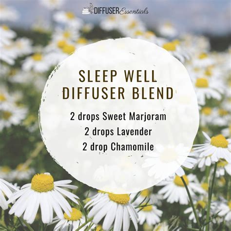 Chamomile-German Essential Oil (Matricaria chamomilla) – Diffuser Essentials