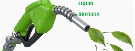 What Are Liquid Biofuels Its Types Advantages And Few Facts To Know