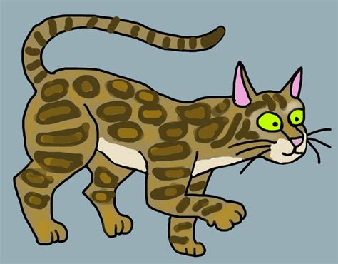 Gato Bengali by andyrey38 on DeviantArt