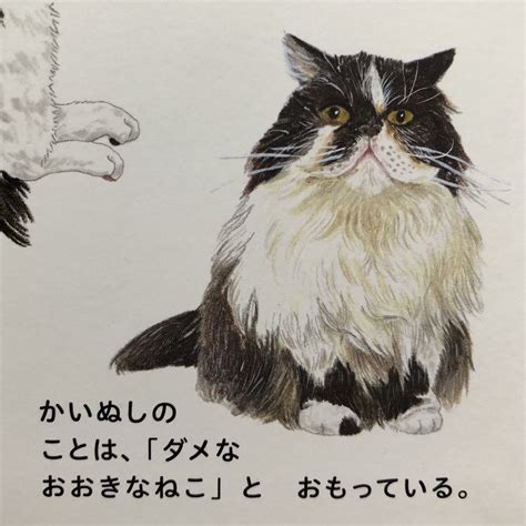 ネコチャンは飼い主のことを「ダメなおおきなねこ」と思っているらしい「わかりみが深い」「うちの子は自分を人だと思っているかも