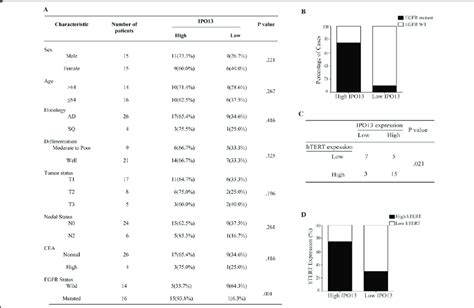 Ipo Overexpression Is Positively Associated With Htert Expression And