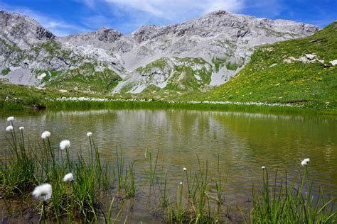 Plan des Roses and Lac de Téné Destination Montagne